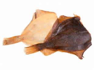 Рыба холодного копчения: Камбала холодного копчения